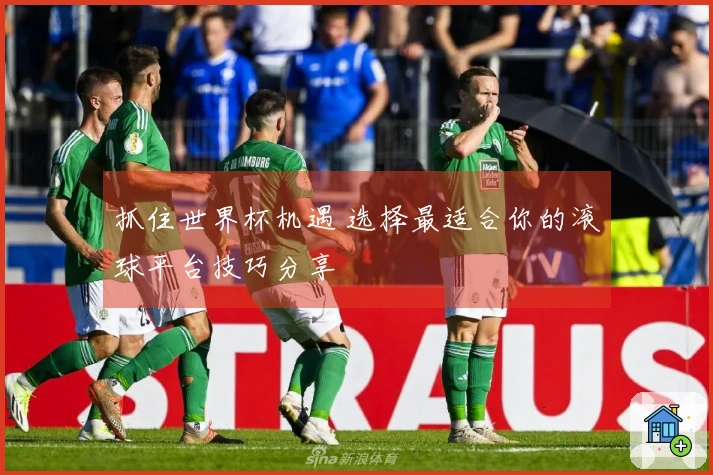抓住世界杯机遇 选择最适合你的滚球平台技巧分享