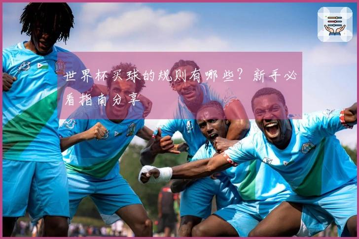 世界杯买球的规则有哪些？新手必看指南分享