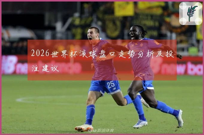 2026世界杯滚球盘口走势分析及投注建议