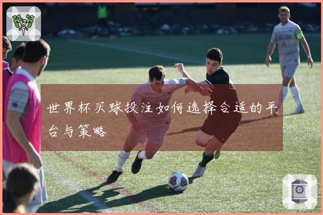 世界杯买球投注如何选择合适的平台与策略