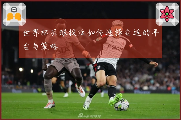 世界杯买球投注如何选择合适的平台与策略