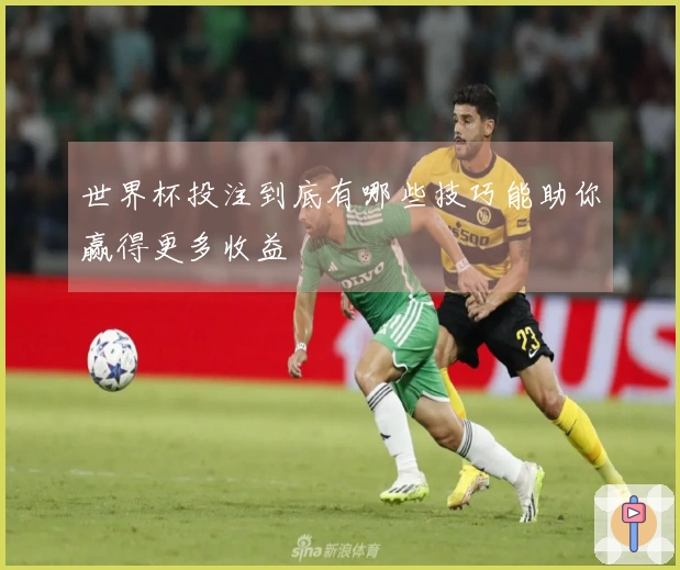 世界杯投注到底有哪些技巧能助你赢得更多收益