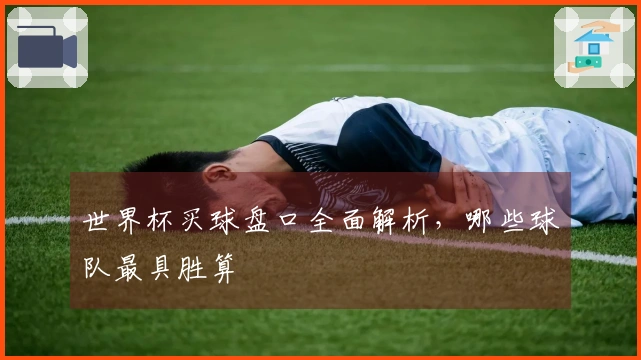 世界杯买球盘口全面解析，哪些球队最具胜算