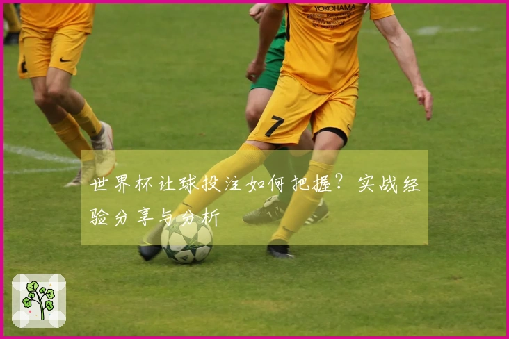 世界杯让球投注如何把握？实战经验分享与分析