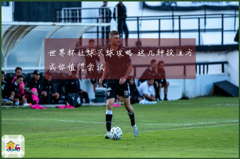 世界杯让球买球攻略 这几种投注方式你值得尝试