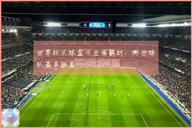 世界杯买球盘口全面解析，哪些球队最具胜算