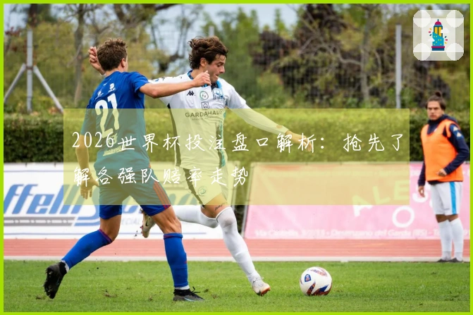 2026世界杯投注盘口解析：抢先了解各强队赔率走势