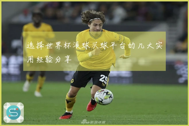 选择世界杯滚球买球平台的几大实用经验分享